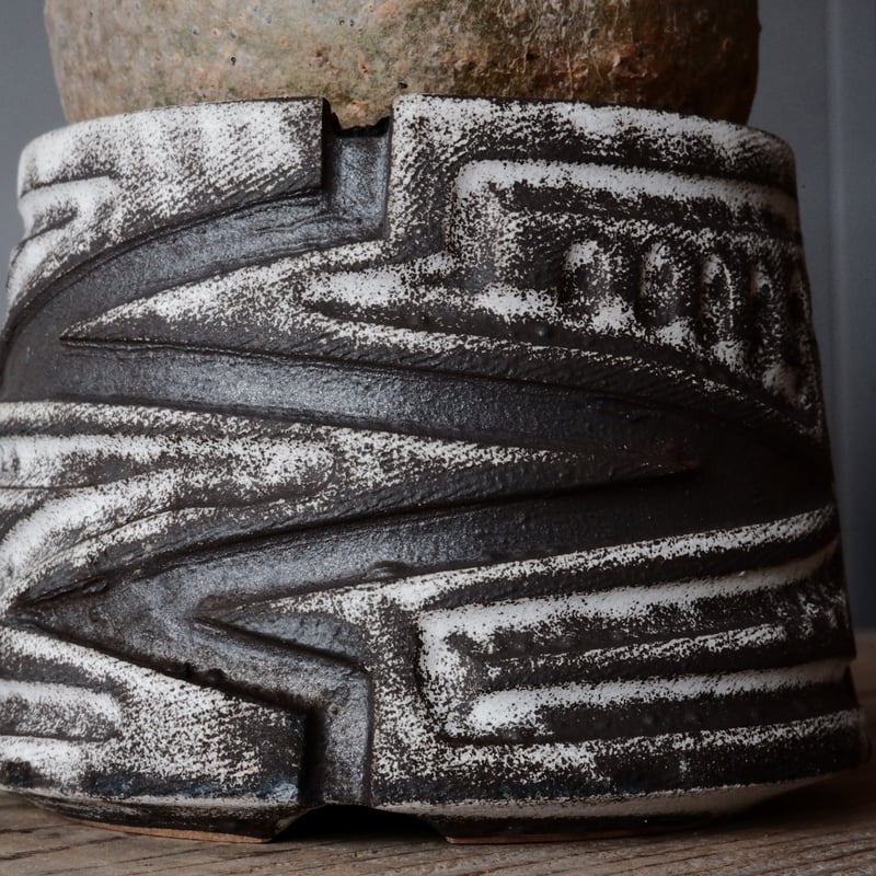 グラキリス φ10cm - 象牙宮- ［No.81］ × 根本峻吾 作 S.N POT