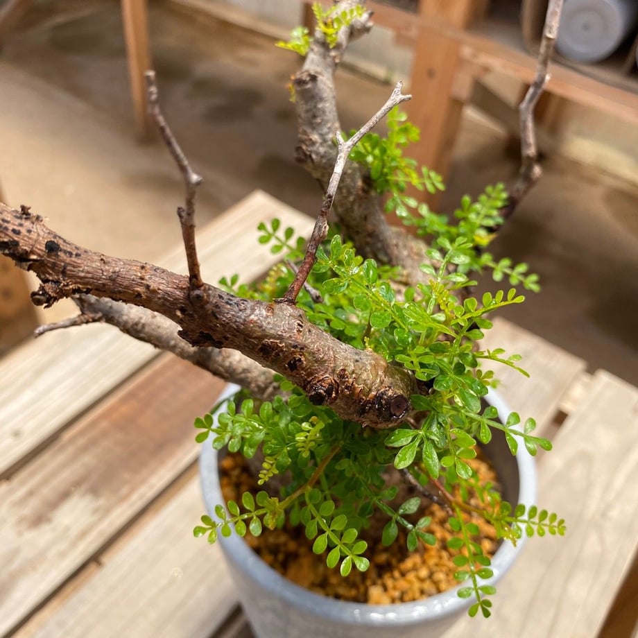5ee06d7572b9112722c8fd69