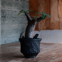マカイエンセ S - 魔界玉 -［No.174］  ×   沼野秀章 作「 black wrap " 手捻り ver. "」3号 植木鉢 笠間焼