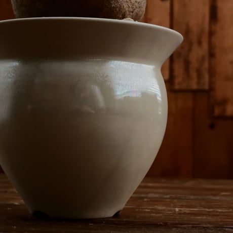 グラキリス S - 象牙宮 -［No.201］  ×   坂本新 作「 LUSTER OVERGLAZE - white pearl -  」3.5号 植木鉢 笠間焼