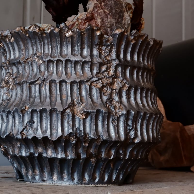 大株】ペラルゴニウム ミラビレ［No.07］ × 松野然 作 【 ZEN