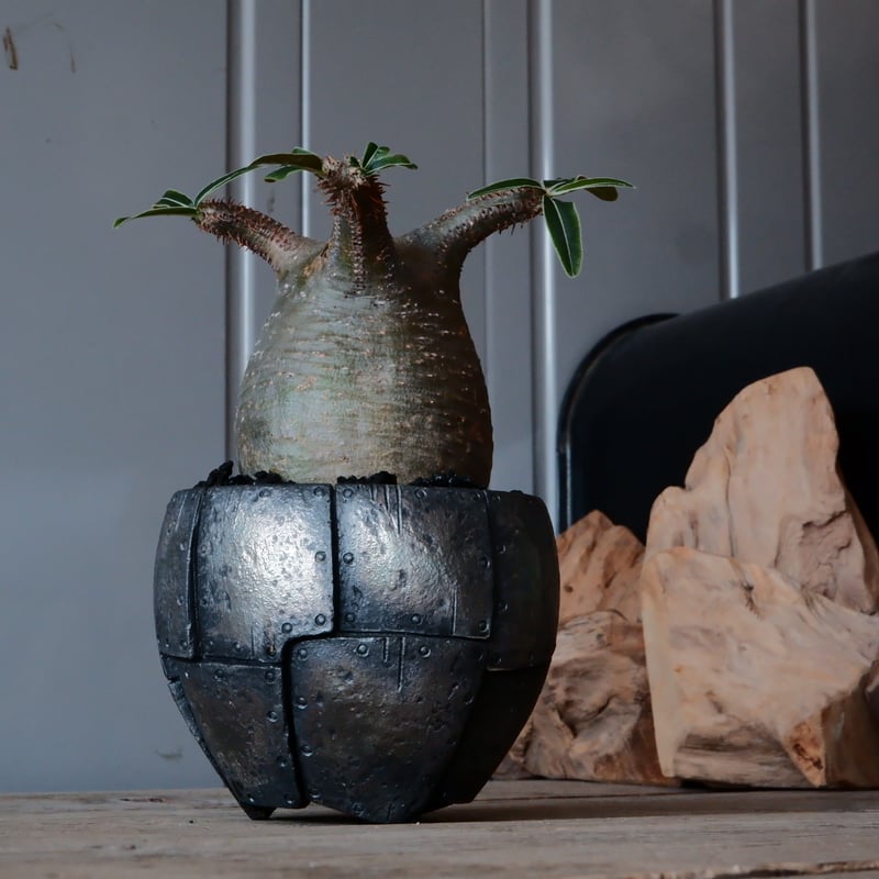 グラキリス φ8cm - 象牙宮 -［No.59］ × 沖誠 作「Rivet - 燻銀彩