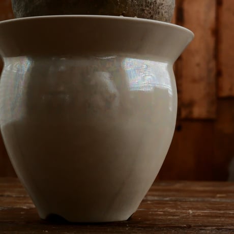 グラキリス M - 象牙宮 -［No.204］  ×   坂本新 作「 LUSTER OVERGLAZE - white pearl -  」3.5号 植木鉢 笠間焼