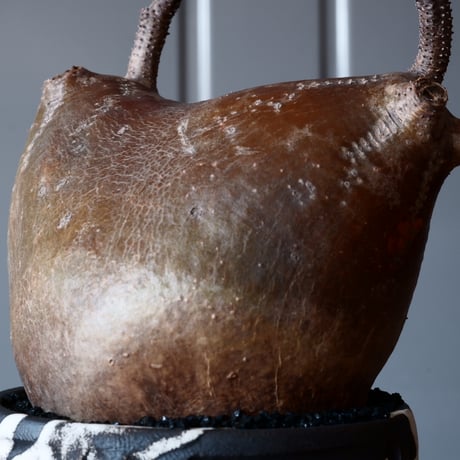 グラキリス φ12cm - 象牙宮-［No.01］× 根本峻吾 作 S.N POT type.round「 鐵-堕天黒- 」3.5号鉢 笠間焼