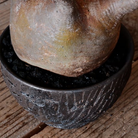 グラキリス φ10cm - 象牙宮 - ［No.12］  ×   沼野秀章 作「 black wrap 」3号 植木鉢 笠間焼