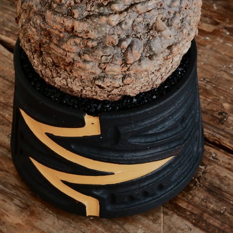 オペルクリカリア パキプス φ12cm［No.14］  ×   根本峻吾 作 S.N POT type.cylinder「 雷電 」limited color - Ocher - 4号 植木鉢