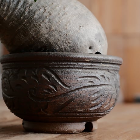 発根済 グラキリス  - 象牙宮 - size S［No.227］  ×  與那嶺大輔 作 「琉球唐草」3号 植木鉢