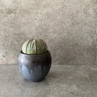 EU輸入 ユーフォルビア オベサ No.09  ×  円 - en - " 闇堕ち " 2.5号鉢 S［作家 磯部祐介］