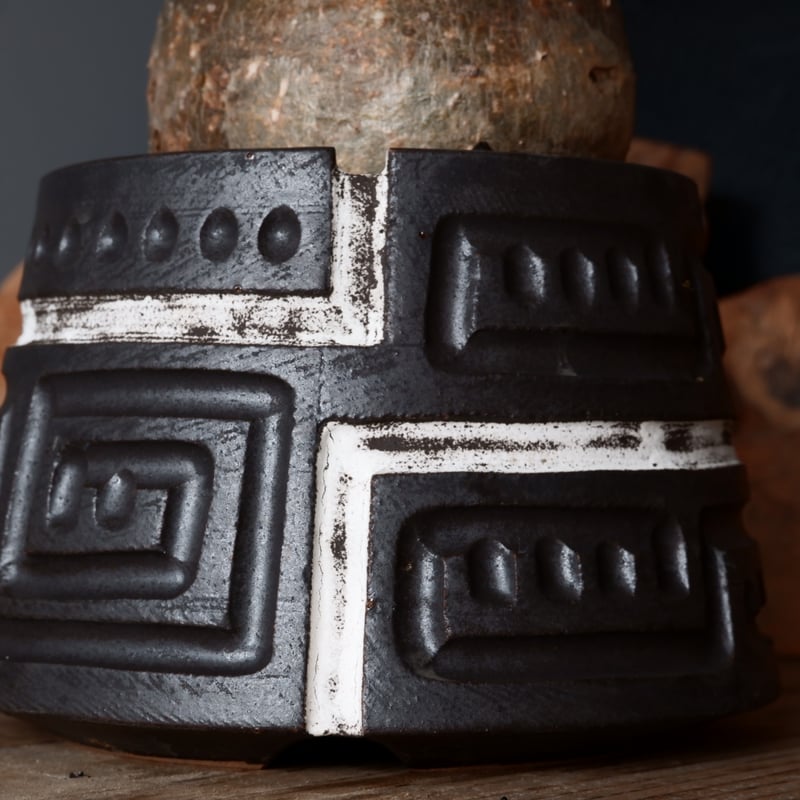 グラキリス現地球　根本峻吾鉢付き グラキリス現地球 根本峻吾鉢付き グラキリス φ8cm - 象牙宮 - ［No.31