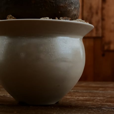 グラキリス M - 象牙宮 -［No.190］  ×   坂本新 作「 LUSTER OVERGLAZE - white pearl -  」3号 植木鉢 笠間焼