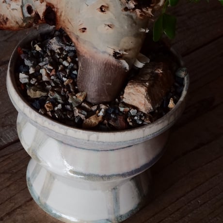 コミフォラ カタフ ピュア［No.04］  × 杉山悠 作 φ13cm 植木鉢 笠間焼