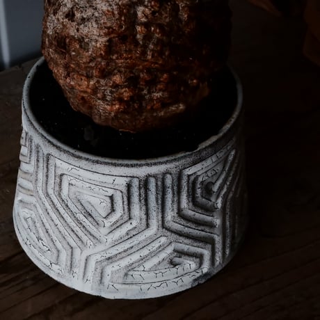 オペルクリカリア パキプス φ 13cm［No.05］  ×   根本峻吾 作 S.N POT  type.cylinder 「 月光ノ鐵 」5号