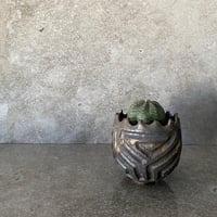 オベサ S ［ No.02 ］×  S.N.Pot " 鎬丸 " - crown - 2号鉢 XS［作家  根本峻吾 ］