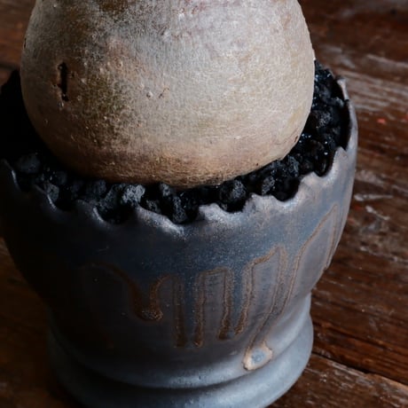 グラキリス - 象牙宮 - ［No.127］  ×   根本峻吾 作 S.N POT type.round「 黒焔 - kokuen - 」4号 植木鉢 笠間焼