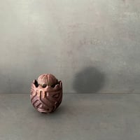 発根済 ユーフォルビア オベサ 18 × S.N.Pot "鎬丸" - crown - 2号鉢 ［作家  "根本峻吾"］