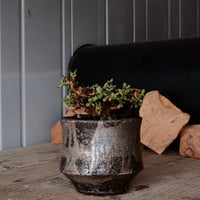 ケラリア ピグマエア［No.80］  × 沼野秀章 作品【  Black Wrap 】4号 植木鉢 笠間焼