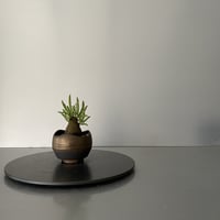 発根済  チレコドン ペアルソニー PE-02 × S.N.Pot "丸"- wave - 2号鉢 ［作家  "根本峻吾"］