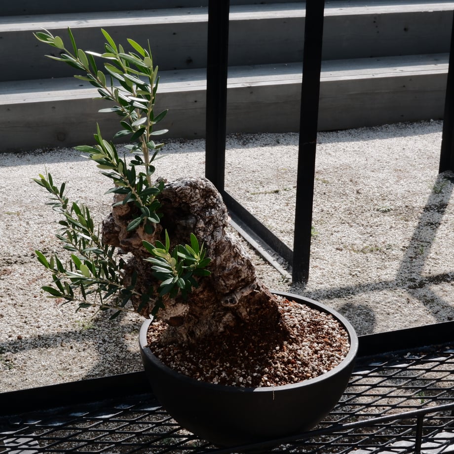 6aaa40ab8a0822ebee29e1c9