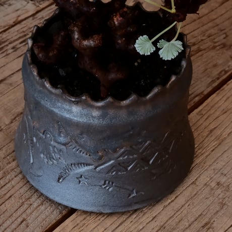 ペラルゴニウム ミラビレ［No.02］  ×   根本峻吾 作 S.N POT type.cylinder「 刻印  -kokuin- 」 4号 植木鉢