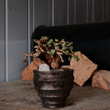 厳選大鉢三点セット+1 磯部祐介…検)カタチ製作所 バリエム 厳選大鉢三点セット+1 磯部祐介…検)カタチ製作所 バリエム