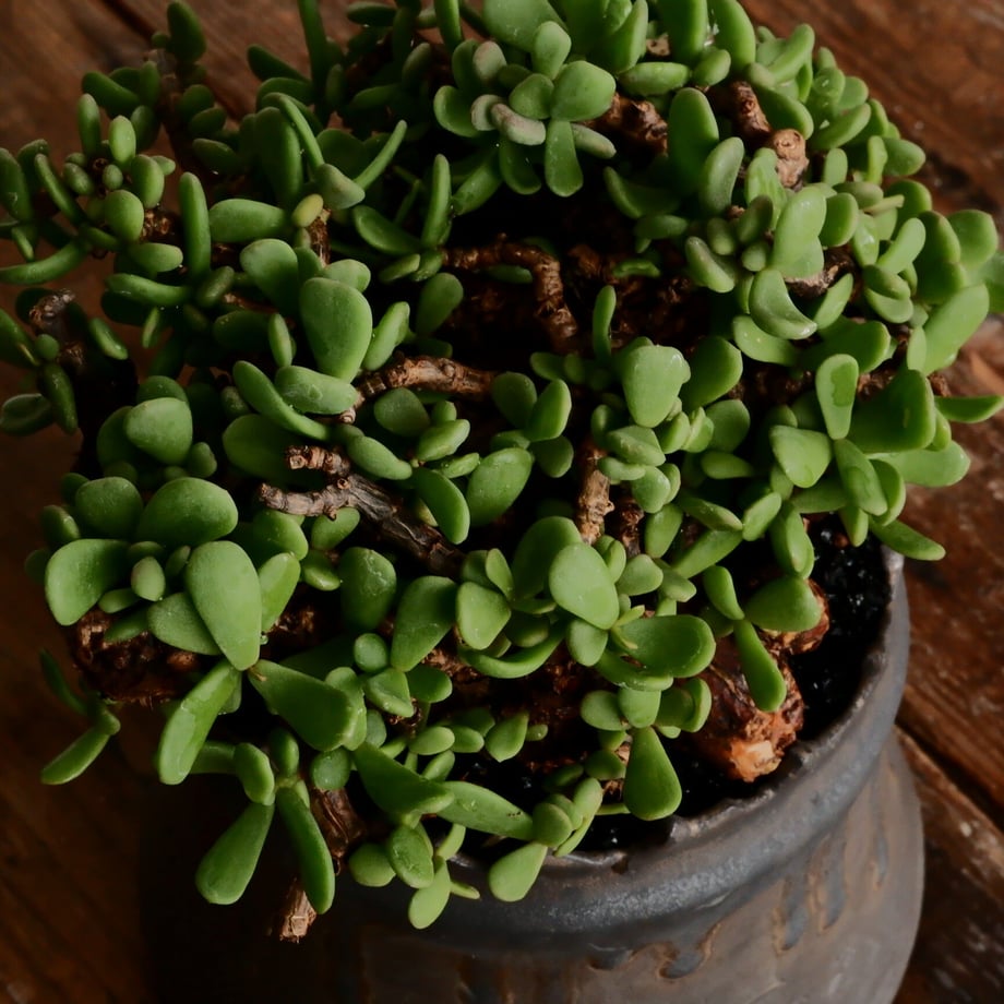 643e3dcaa2895b0035e2af2d