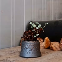 ペラルゴニウム ミラビレ［No.02］  ×   根本峻吾 作 S.N POT type.cylinder「 刻印  -kokuin- 」 4号 植木鉢