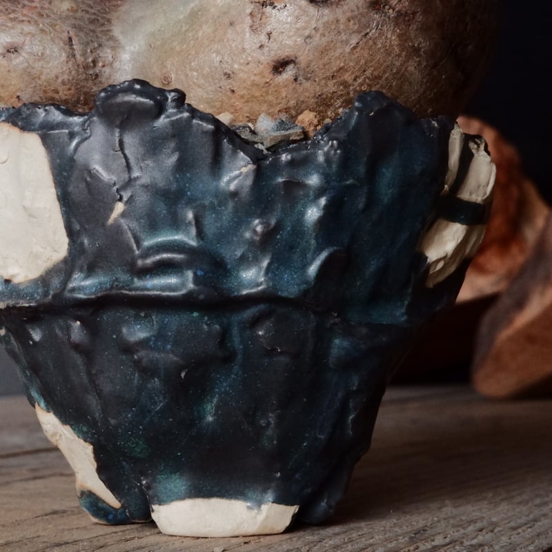 パキポディウム　グラキリス 2頭 パキポディウム グラキリス二頭【イチ押し！パキポディウム系の