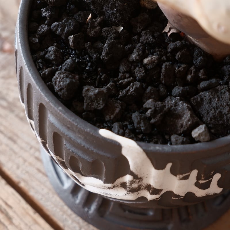 コミフォラ カタフ ピュア ソマリア産［No.13］ × 根本峻吾 作品【 S.N