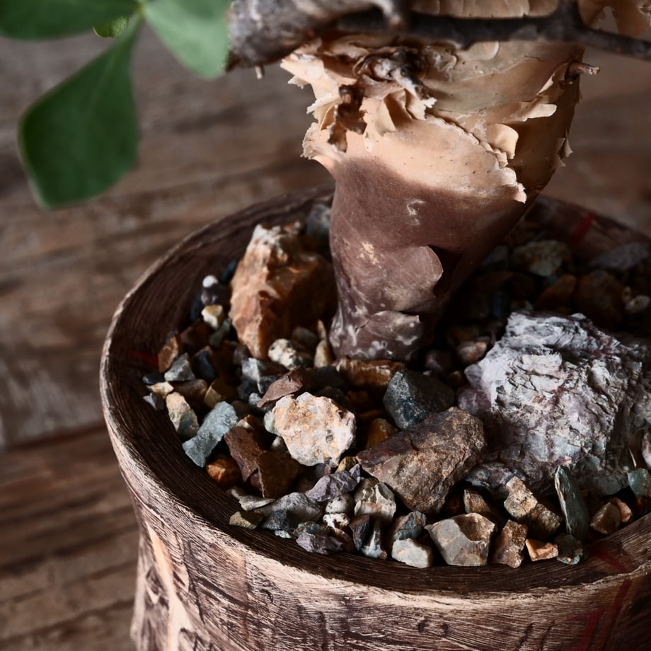 68ac1be286f8d43a9d63462c