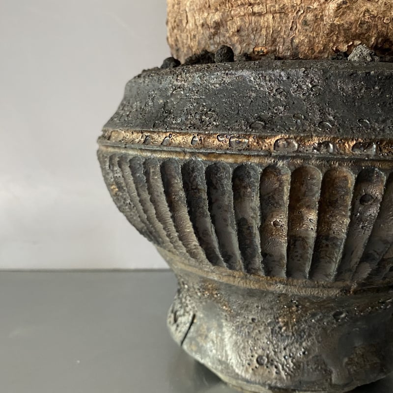 発根済 オペルクリカリア パキプス P-45 × 【作家 小野瀬 一