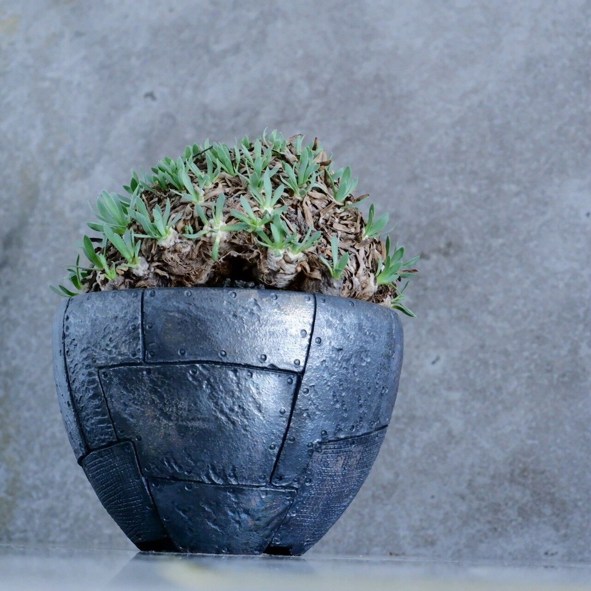Norrmans Motala工房✦レトロなお花の陶板 Norrmans Motala工房✦レトロなお花の陶板