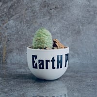 仏頭玉 ラリレアキア カクティフォルメ  No.02  ×   " EartH POWER " DESIGN POT / WHITE