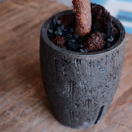 コミフォラ モンストローサ［No.41］  ×  沼野秀章 作「 black wrap .tall 」 3号 植木鉢 笠間焼