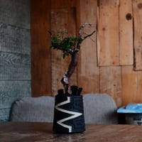 コミフォラ モンストローサ［No.37］  ×  根本峻吾 作 S.N POT type.tall「雷電」3号 植木鉢 笠間焼
