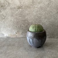 EU輸入 ユーフォルビア オベサ No.08  ×  円 - en - " 闇堕ち " 2.5号鉢 S［作家 磯部祐介］