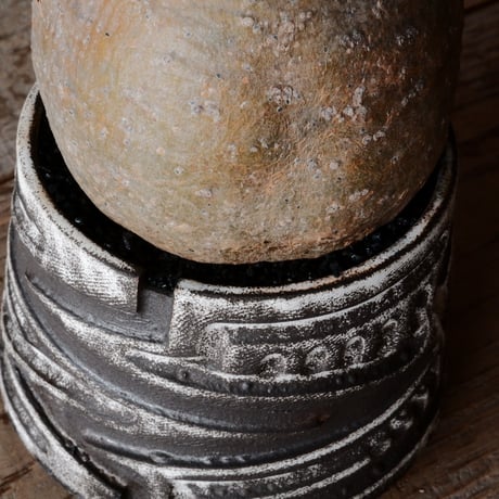 グラキリス φ10cm  - 象牙宮- ［No.81］  ×   根本峻吾 作 S.N POT type.cylinder「 月光ノ雷電」3.5号 植木鉢 笠間焼