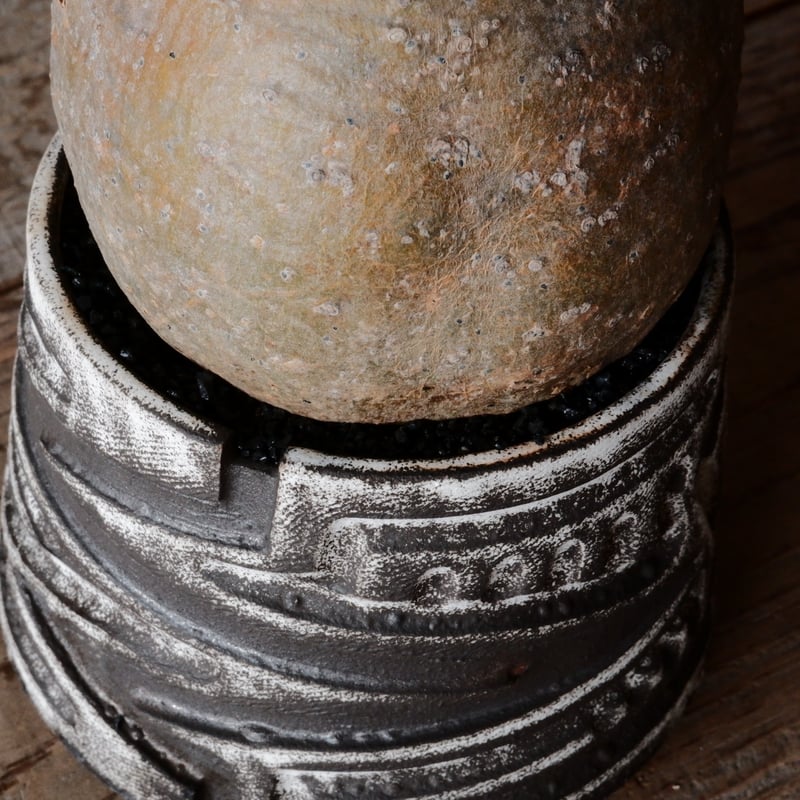 グラキリス φ10cm - 象牙宮- ［No.81］ × 根本峻吾 作 S.N POT