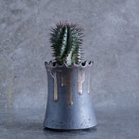 ユーフォルビア  黒棘 ホリダ No.13  ×  S.N.Pot " tall " - crown -  3号 長鉢［作家 根本峻吾 ］