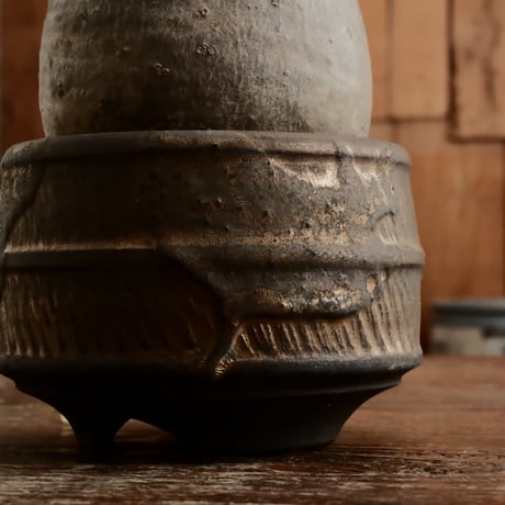 グラキリス  φ8.5cm - 象牙宮 -［No.66］  ×  磯部祐介 作「 瓦 - kawara -  "金剛 飛び鉋 ver. "」3号 植木鉢 笠間焼