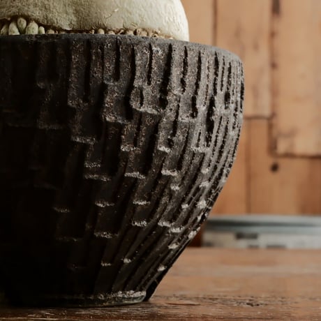 《丸型》アデニウム アラビカム " ドワーフ " φ10cm［No.13］  ×   沼野秀章 作「 black wrap 」4号 植木鉢 笠間焼