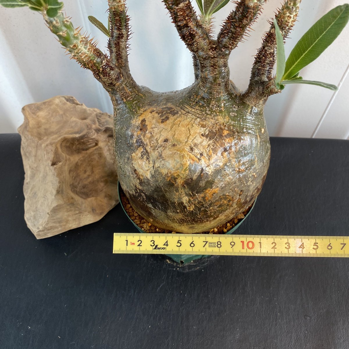 fit=scale-down,w=1200