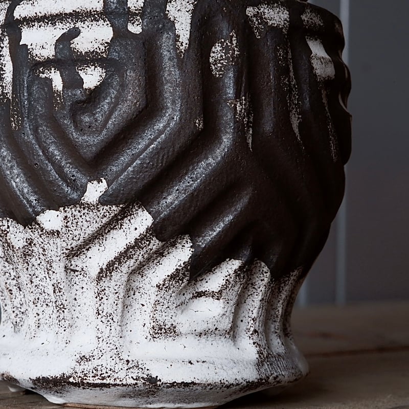 ア*ー様 グラキリス　現地球　根本峻吾⁡鉢付き　美株　発根済み　長期管理株　大株 ア*ー様 グラキリス 現地球 根本峻吾⁡鉢付き 美株 発根済み 長期管理株