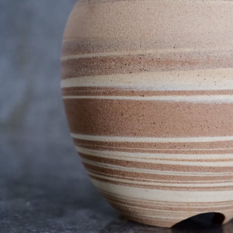 ユーフォルビア ゼブラ 赤棘 ホリダ No.10  ×  【新作】S.N.Pot " jupiter " 3号鉢［作家 根本峻吾 ］