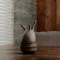 グラキリス  φ8.5cm - 象牙宮 -［No.66］  ×  磯部祐介 作「 瓦 - kawara -  "金剛 飛び鉋 ver. "」3号 植木鉢 笠間焼