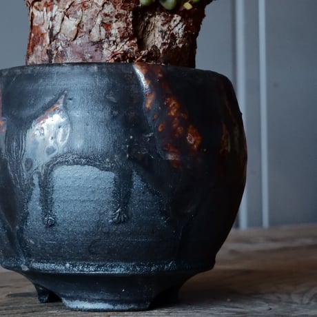ケラリア ピグマエア［No.44］  × 磯部祐介 作品【 円 - 闇堕ち - 】2.5号 植木鉢 笠間焼