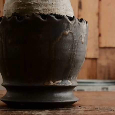グラキリス φ9.5cm - 象牙宮 - ［No.75］  ×   根本峻吾 作 S.N POT type.round「 黒焔 - kokuen - 」4号 植木鉢 笠間焼