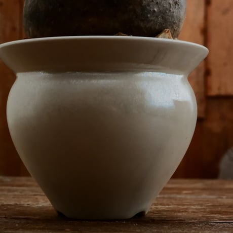 グラキリス M - 象牙宮 -［No.193］  ×   坂本新 作「 LUSTER OVERGLAZE - white pearl -  」3.5号 植木鉢 笠間焼
