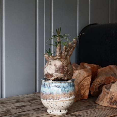 磯部祐介 | STORES