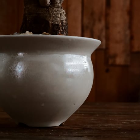 ユーフォルビア ラバティ［No.60］  ×   坂本新 作 「  LUSTER OVERGLAZE - 白虹彩 -  white pearl - 」植木鉢 笠間焼