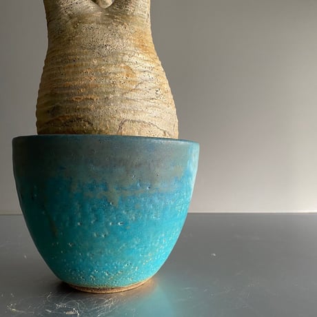 Gracilius M  ×  Flat pot 「Turquoise blue」 - 笠間焼 - C71